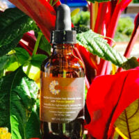 "Nectar Stimulator Hair Growth Serum" with Pracaxi Seed Oil